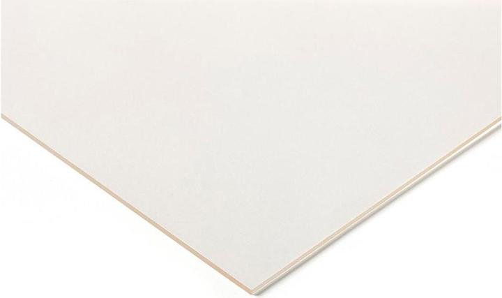 Produktbild Rs Pro Acryl Tafeln 6x400x500mm