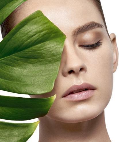 Produktbild Talika Skintelligence Anti-Age Regenerating Day Cream 50ml (50 ml, Tagescreme)