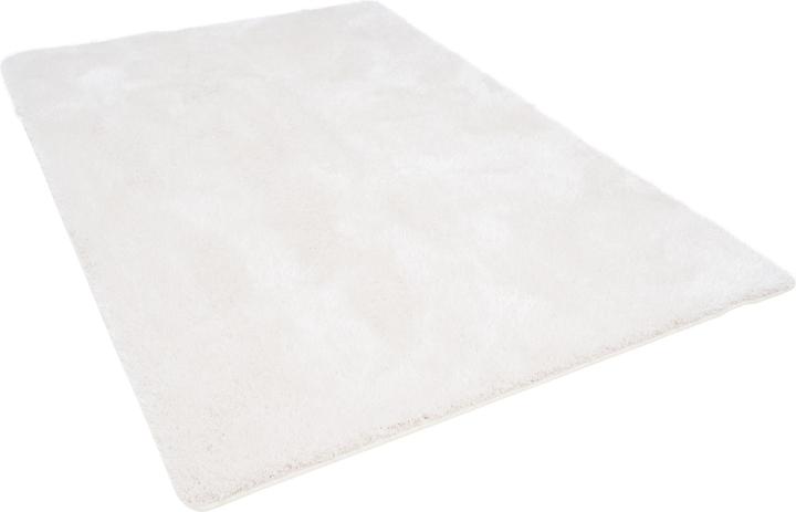 Immagine prodotto Snapstyle Tappeto Shaggy a pelo alto Mix di sensazioni di lusso (100 x 300 cm)