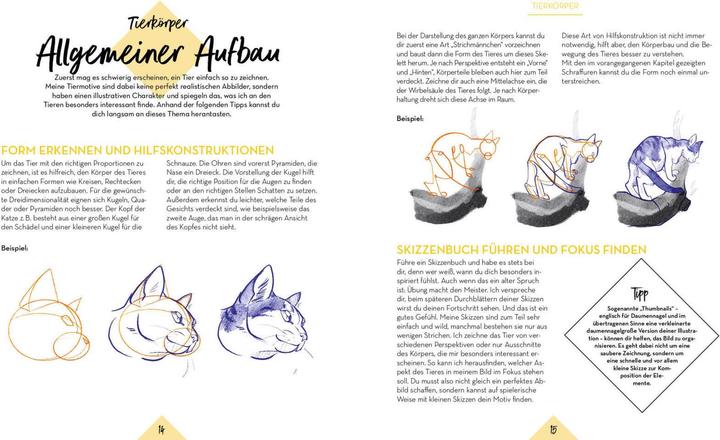 Image du produit Tiere zeichnen (2 Bücher im Bundle)