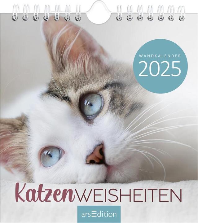 Produktbild Wandkalender Katzenweisheiten 2025 (Harter Einband, Deutsch)