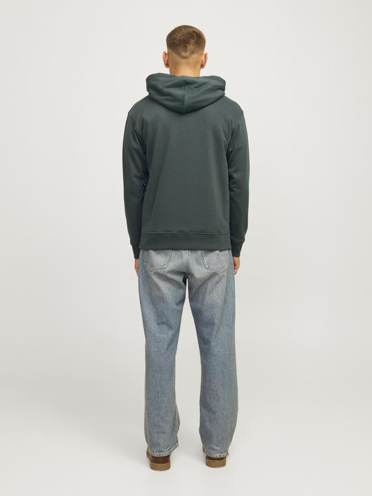 Actual product image Jack & Jones Jorportland Block Sweat Hood Ln (S)