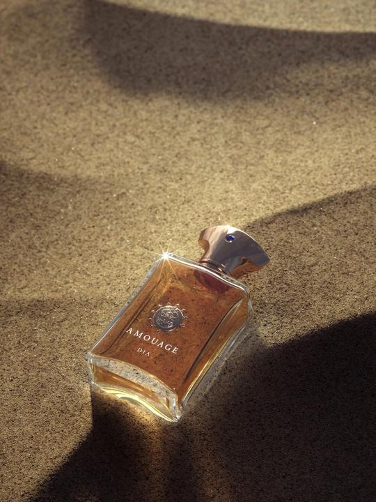 Produktbild Amouage Dia Man (Eau de Parfum, 100 ml)