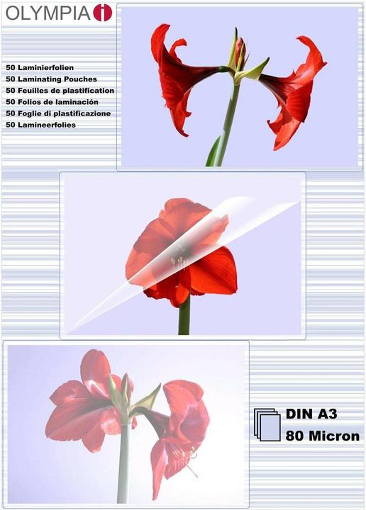 Olympia 9174 (A3, 50 pièce(s), 80 µm)