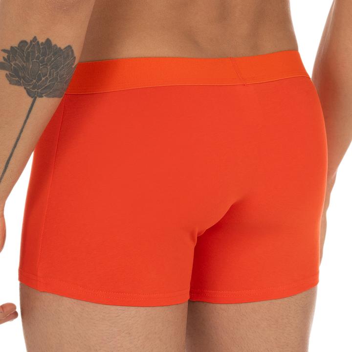 Actual product image Bruno Banani 4er Pack Flowing Retro Short / Pant (L, pack of 4)