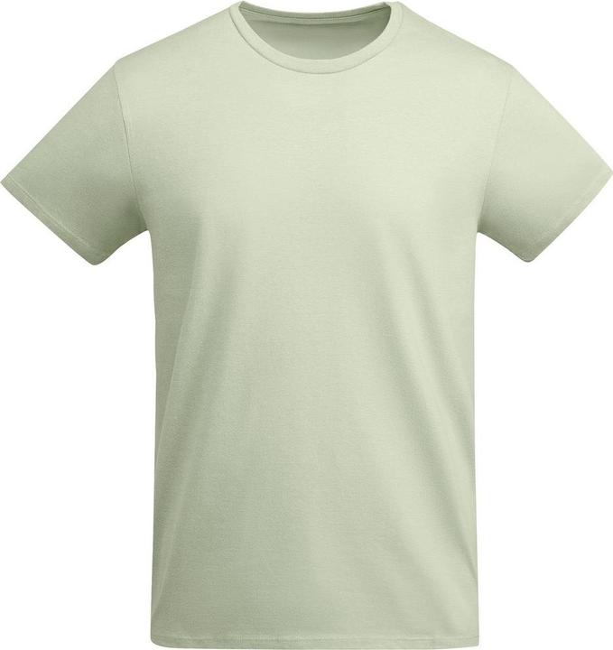 Verde nebbia