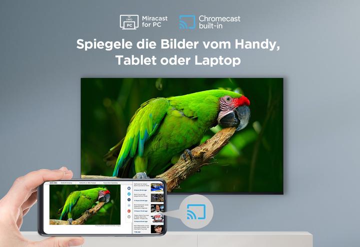 Image du produit TCL 55P655 (55", LCD, 4K, 2024)