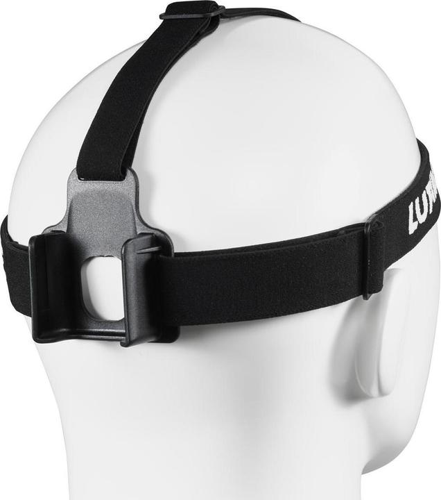 Image du produit Lupine Bandeau