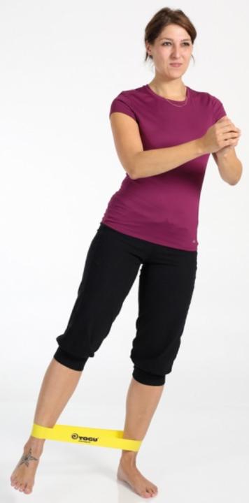Actual product image Togu Theragym Loop Set of 4 (0.30 m, Strong, Extra strength, Medium, Easy)