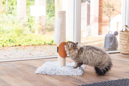 Immagine prodotto Beeztees Pflegehandschuh (Gatto)