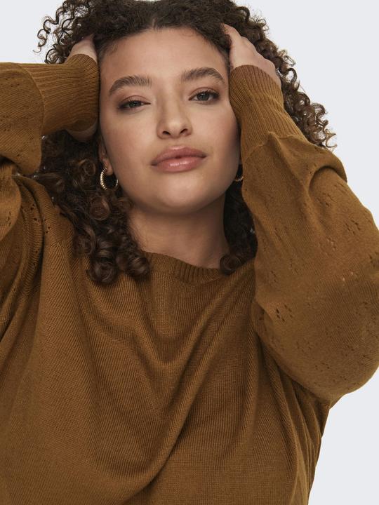 Image du produit Only Robe en tricot curvy (L)
