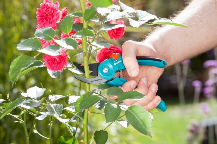 Produktbild Gardena Classic Rebschere