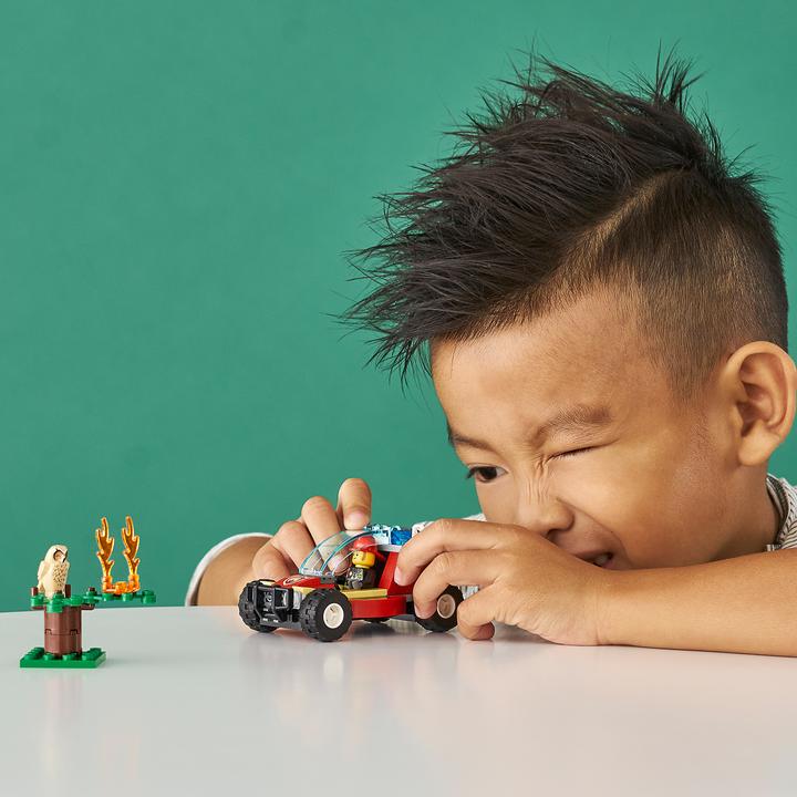 Immagine prodotto LEGO Incendio boschivo (60247, LEGO City)