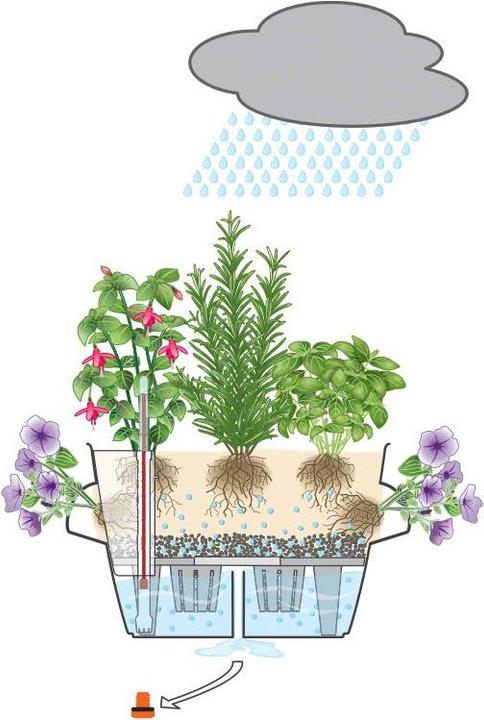 Produktbild Lechuza Cascada (44 cm)