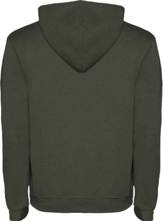 Actual product image Alpinia Mens Urban Hoodie (XXL)