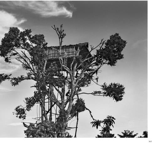 Produktbild Sebastião Salgado. Genesis (Deutsch, Lélia Wanick Salgado, 2013)