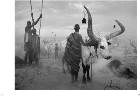 Produktbild Sebastião Salgado. Genesis (Deutsch, Lélia Wanick Salgado, 2013)