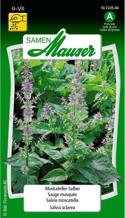 Produktbild Samen Mauser Muskateller-Salbei (Kräutersamen)