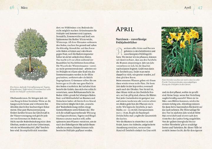 Image du produit Kosmos Geheimnisse aus dem Klostergarten (Allemand, Christa Weinrich, OSB, 2024)