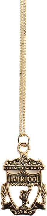 Actual product image Score Draw Crest Necklace & Pendant (100% synthetic material)