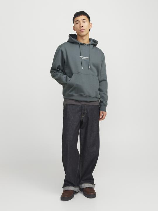 Actual product image Jack & Jones Printed hooded sweatshirt Hooded sweatshirt (M)
