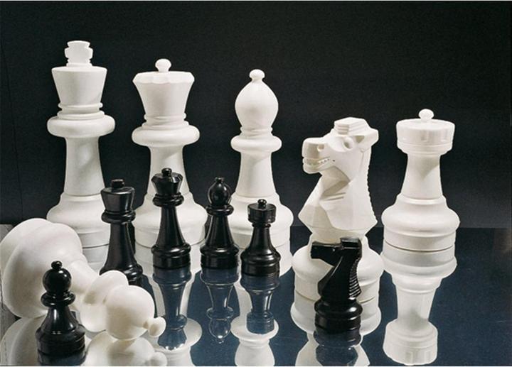 Actual product image Rolly Toys Large chessmen