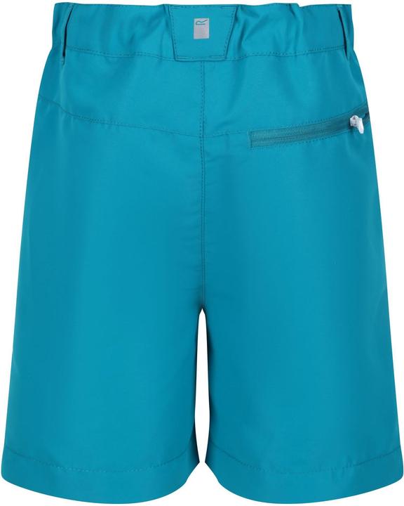 Actual product image Regatta Sorcer Ii Shorts (128)