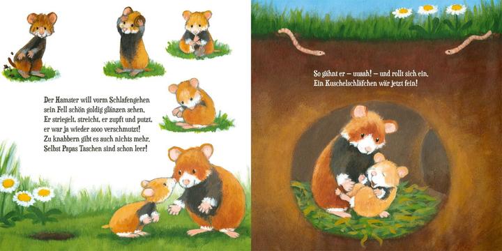Immagine prodotto Schau, wie niedlich Tiere schlafen gehen (Tedesco, Katja Reider, 2021)