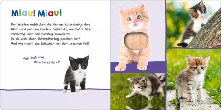 Produktbild Hör mal rein, wer kann das sein? – Tierkinder im Frühling (Deutsch)