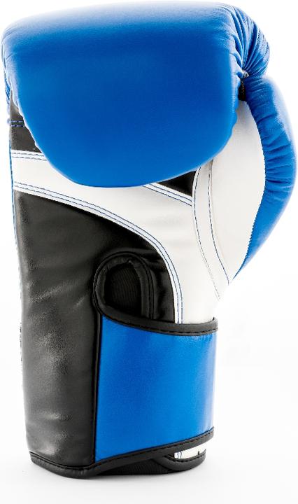 Image du produit UFC PRO Fitness Training Glove (12 OZ)