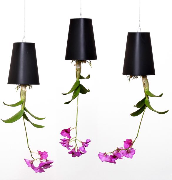 Image du produit boskke Sky Planter Small (9.50 cm)