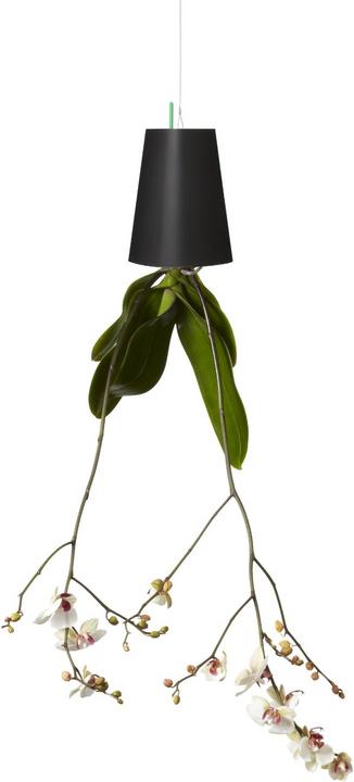 Image du produit boskke Sky Planter Small (9.50 cm)
