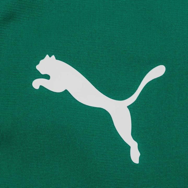 Produktbild Puma team LIGA (XS)