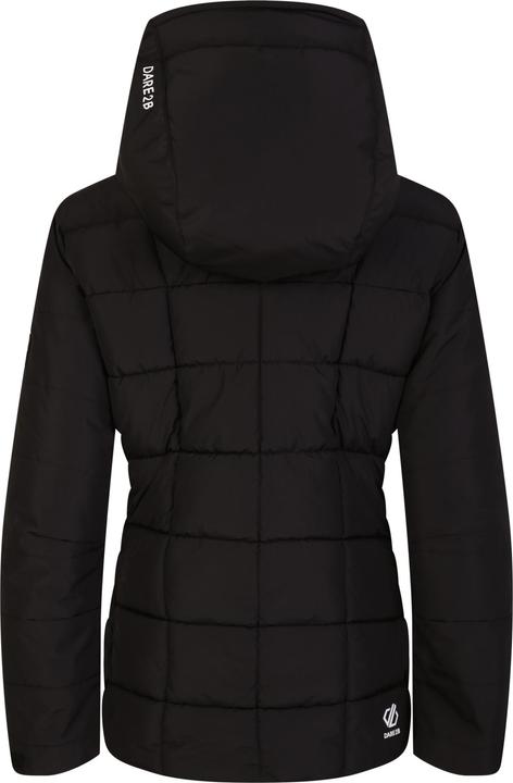 Actual product image Dare2b Womens/Ladies Blindside Ski Jacket (42 D)