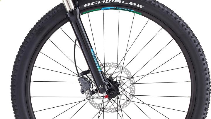 Actual product image Wheeler Protron 300 (43 cm)