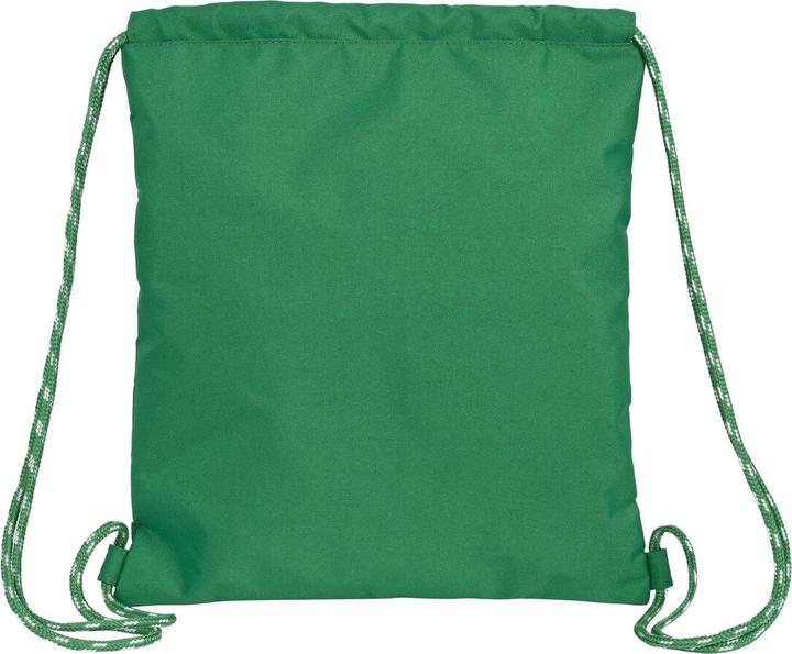 Actual product image Real Betis Balompié Backpack bag with straps green