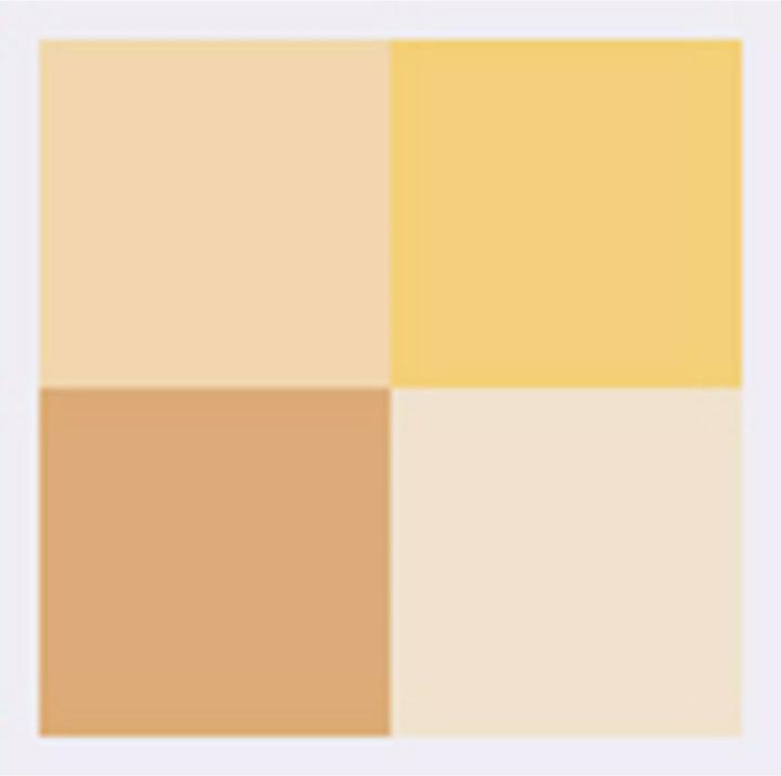 Actual product image Dior Glow Face Palette (003 Pure Gold, Highlighter, 10 g)