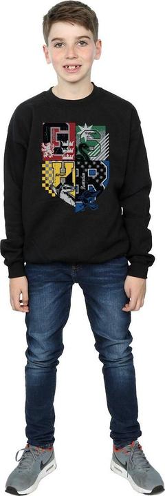 Actual product image Sweatshirt boys (116)