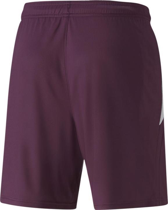 Image du produit Puma teamLIGA Shorts (XXL)