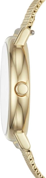Immagine prodotto Skagen sottoscrizione (Orologio da polso analogico, 30 mm)
