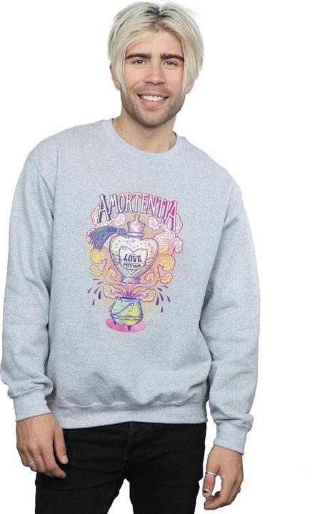 Image du produit - Sweat LOVE POTION - Homme (M)