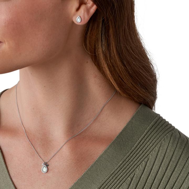 Actual product image Fossil Classics (Stainless steel)