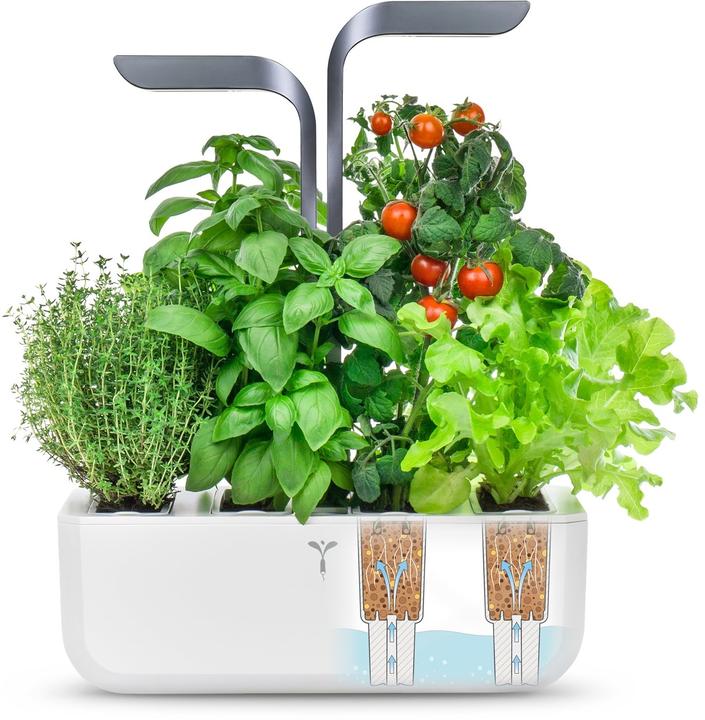 Produktbild Véritable Connect Indoor Garden (18 cm)