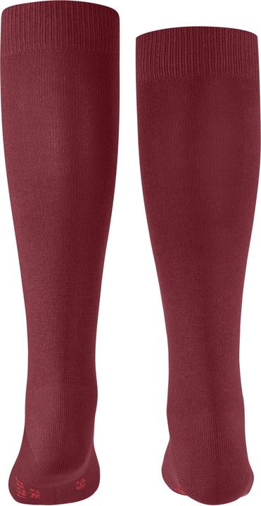 Produktbild Falke Family KH (Einzelpack, 31 - 34)