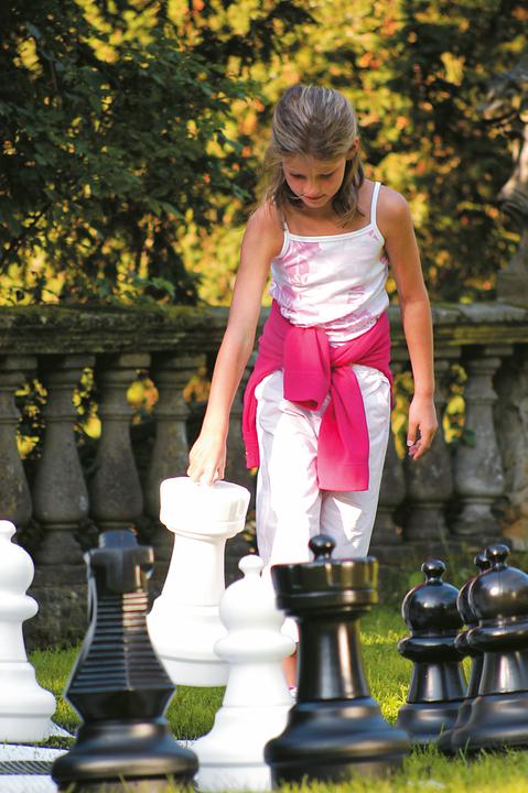 Actual product image Rolly Toys Large chessmen