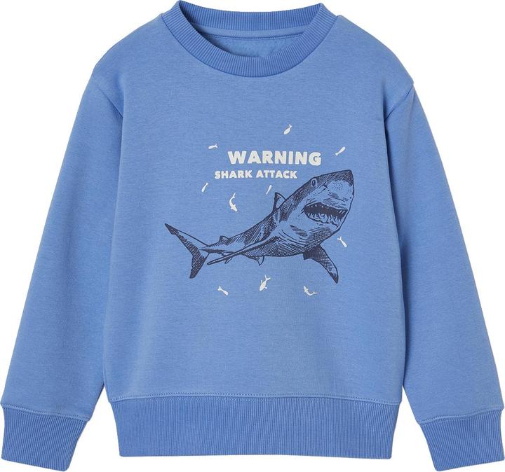 Vertbaudet Jungen Sweatshirt BASIC mit Print und Recycling-Polyester