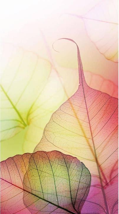 Actual product image Trenddeko Pink Design (288 x 300 cm)
