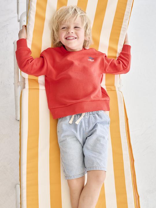 Produktbild Vertbaudet Jungen Sweatshirt mit Urlaubsmotiv hinten, Recycling-Polyester (158)