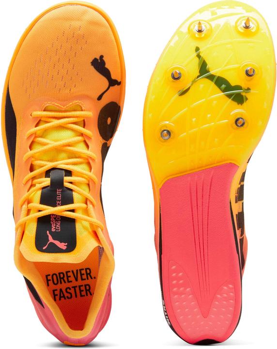 Image du produit Puma evoSPEED Longue Distance Nitro Elite 2 (43)