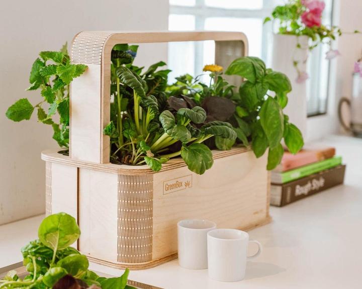 Image du produit BerlinGreen GreenBox Great Variety Bundle